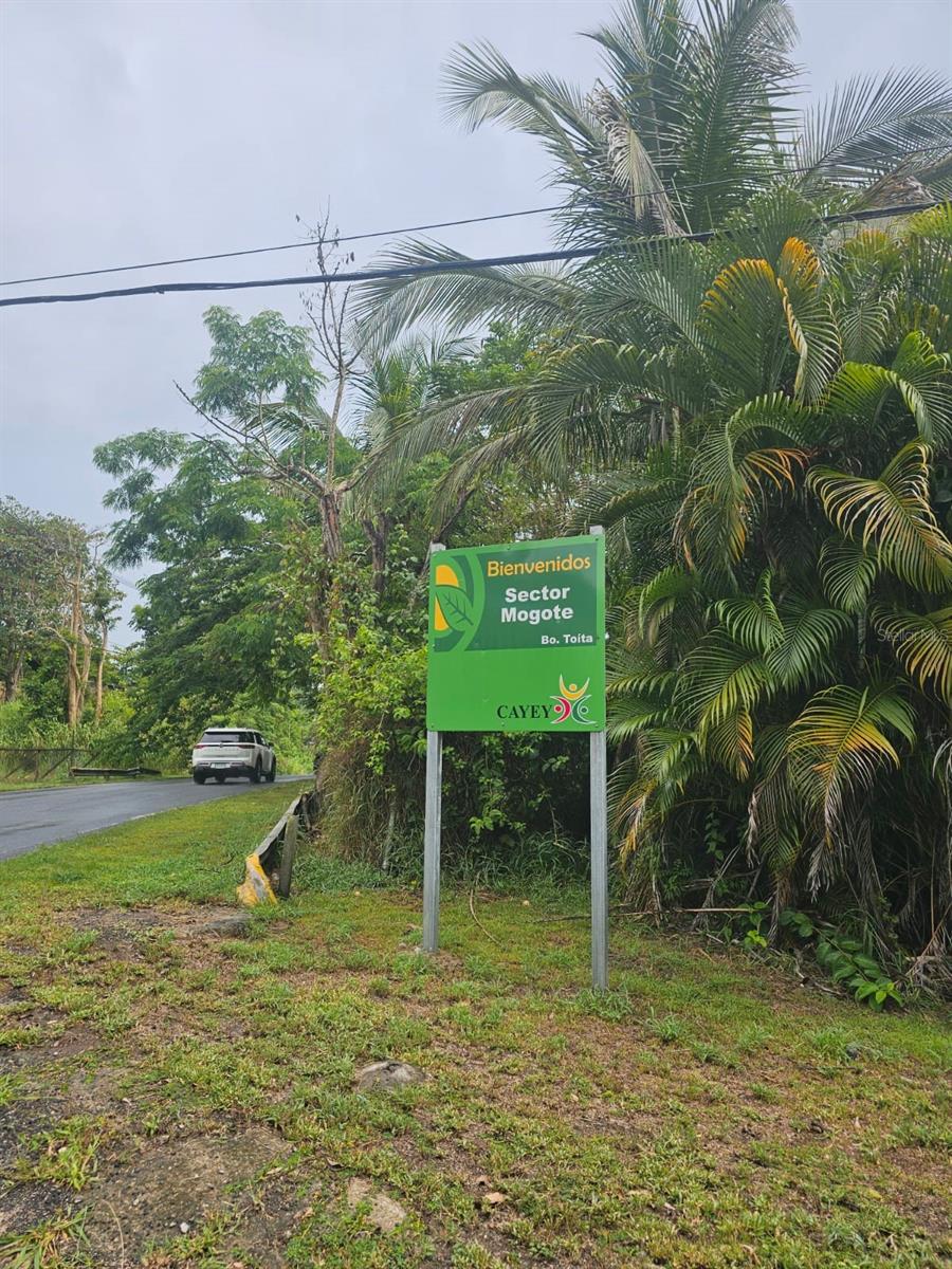 CAYEY