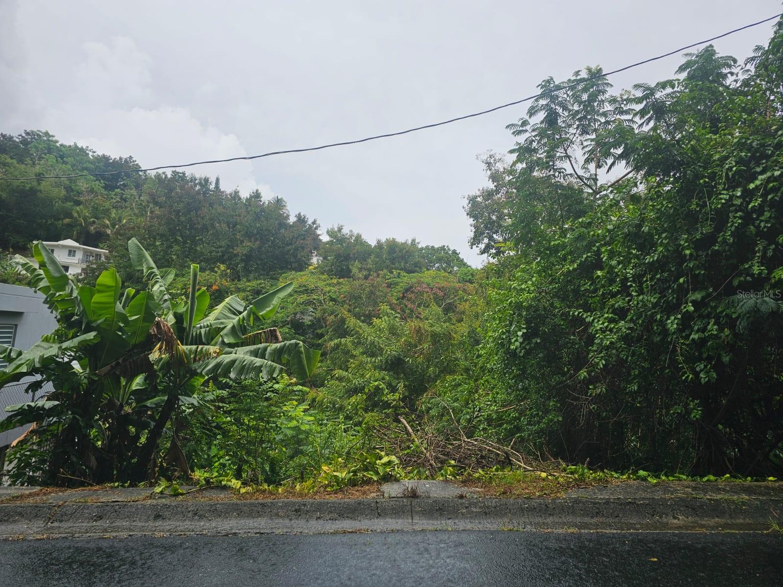 CAYEY — foto 3