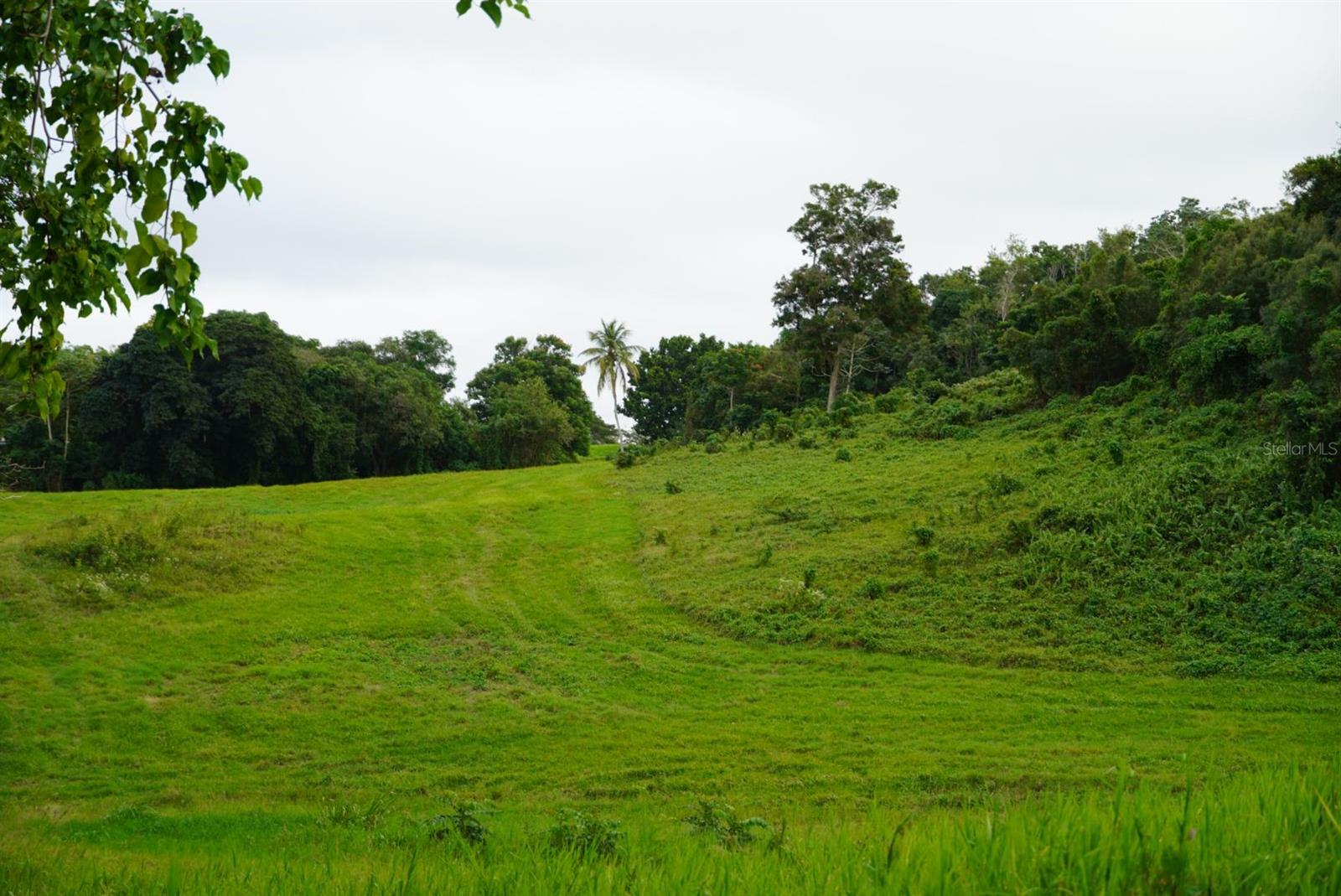 QUEBRADILLAS