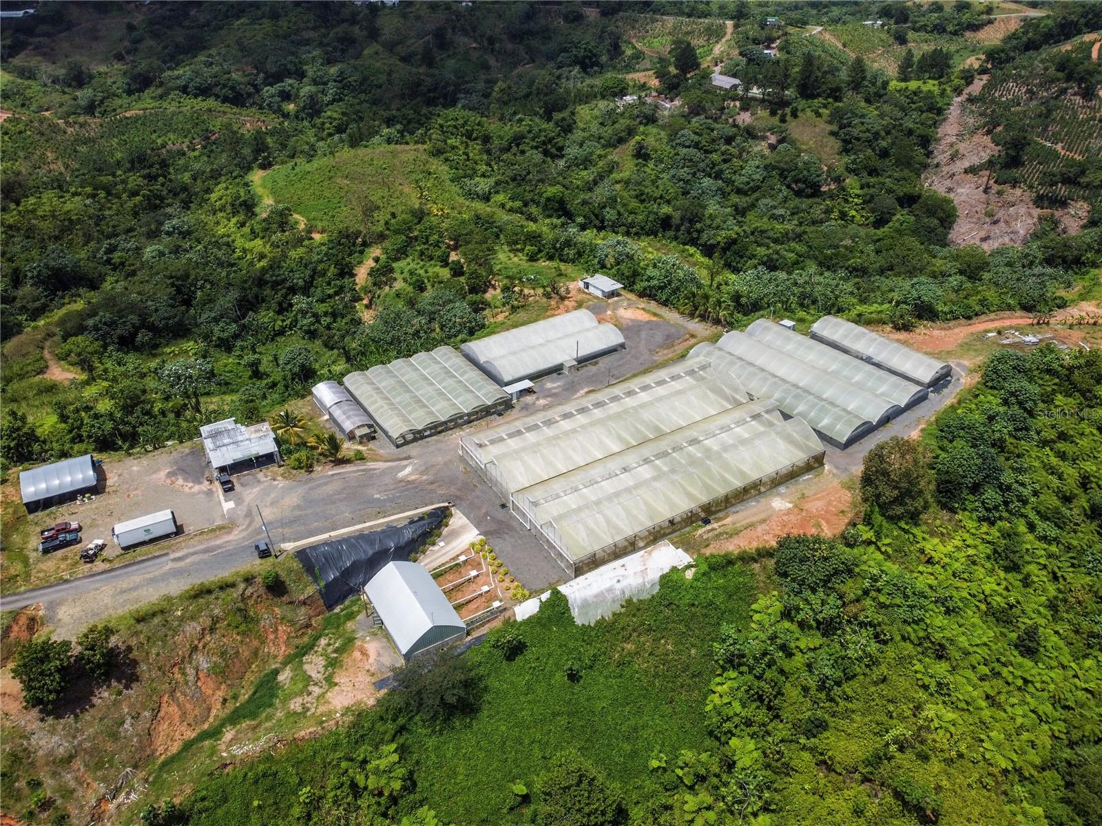 LARES — foto 8