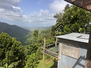 3 hab · 2 baños · CAYEY — foto 11