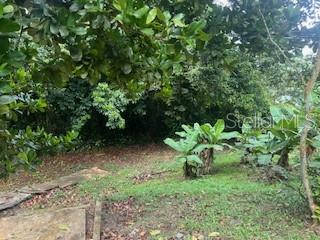 3 hab · 2 baños · CAYEY — foto 3