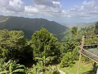 3 hab · 2 baños · CAYEY — foto 9