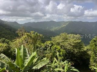 3 hab · 2 baños · CAYEY — foto 10