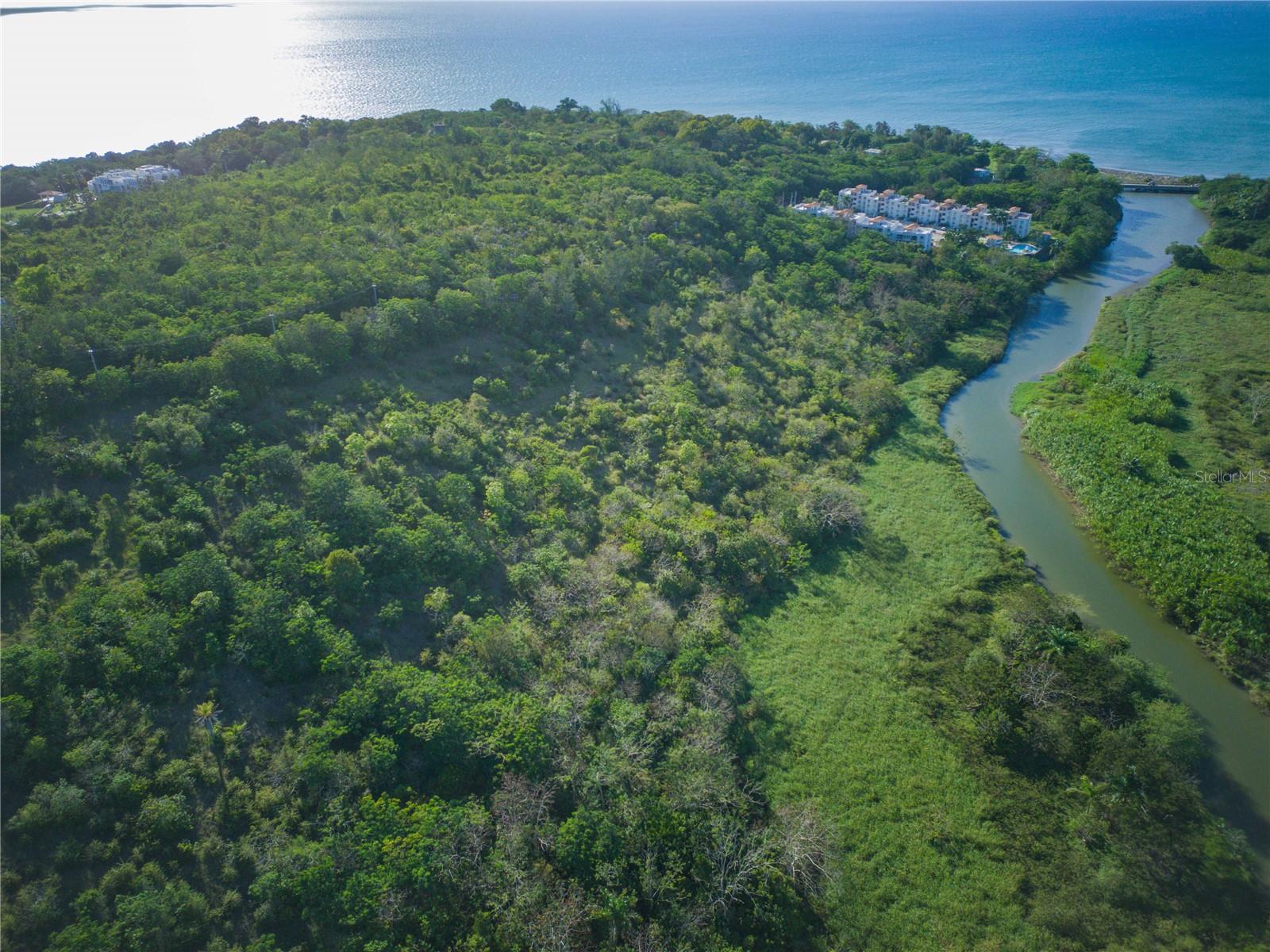 CABO ROJO — foto 7