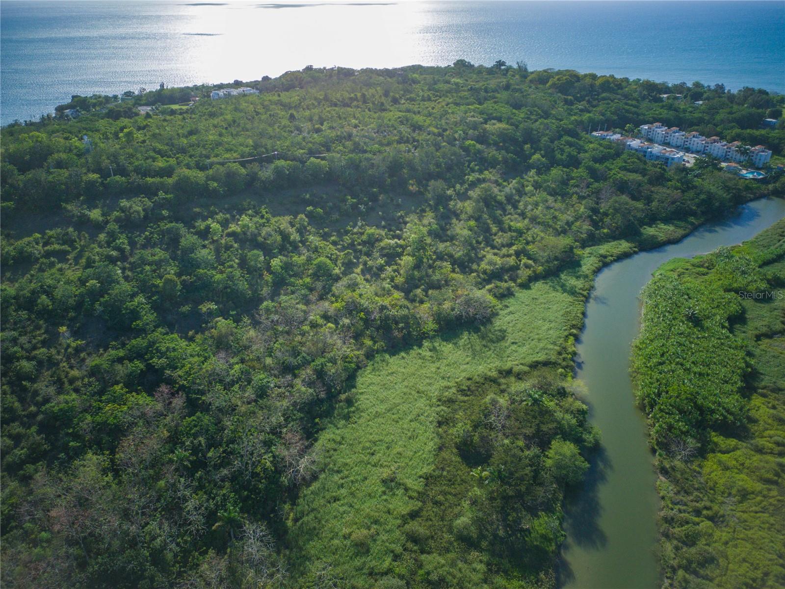 CABO ROJO — foto 8