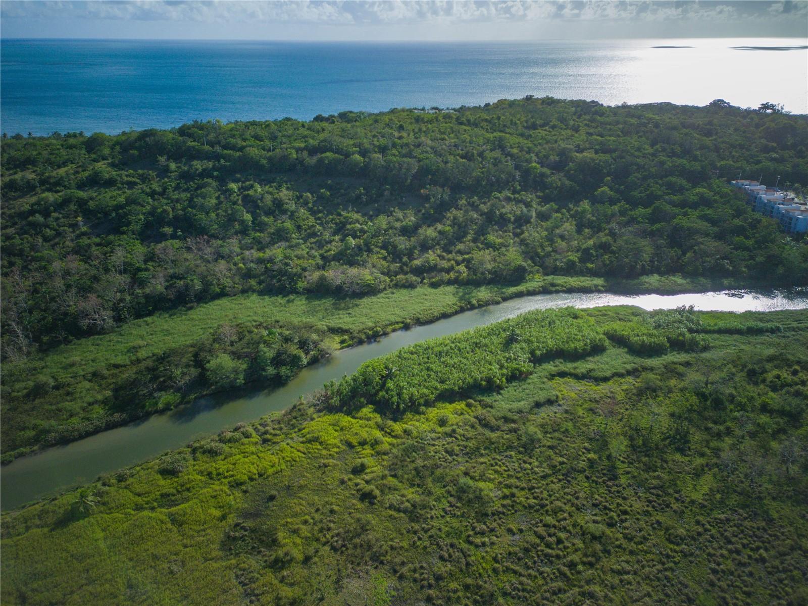 CABO ROJO — foto 10