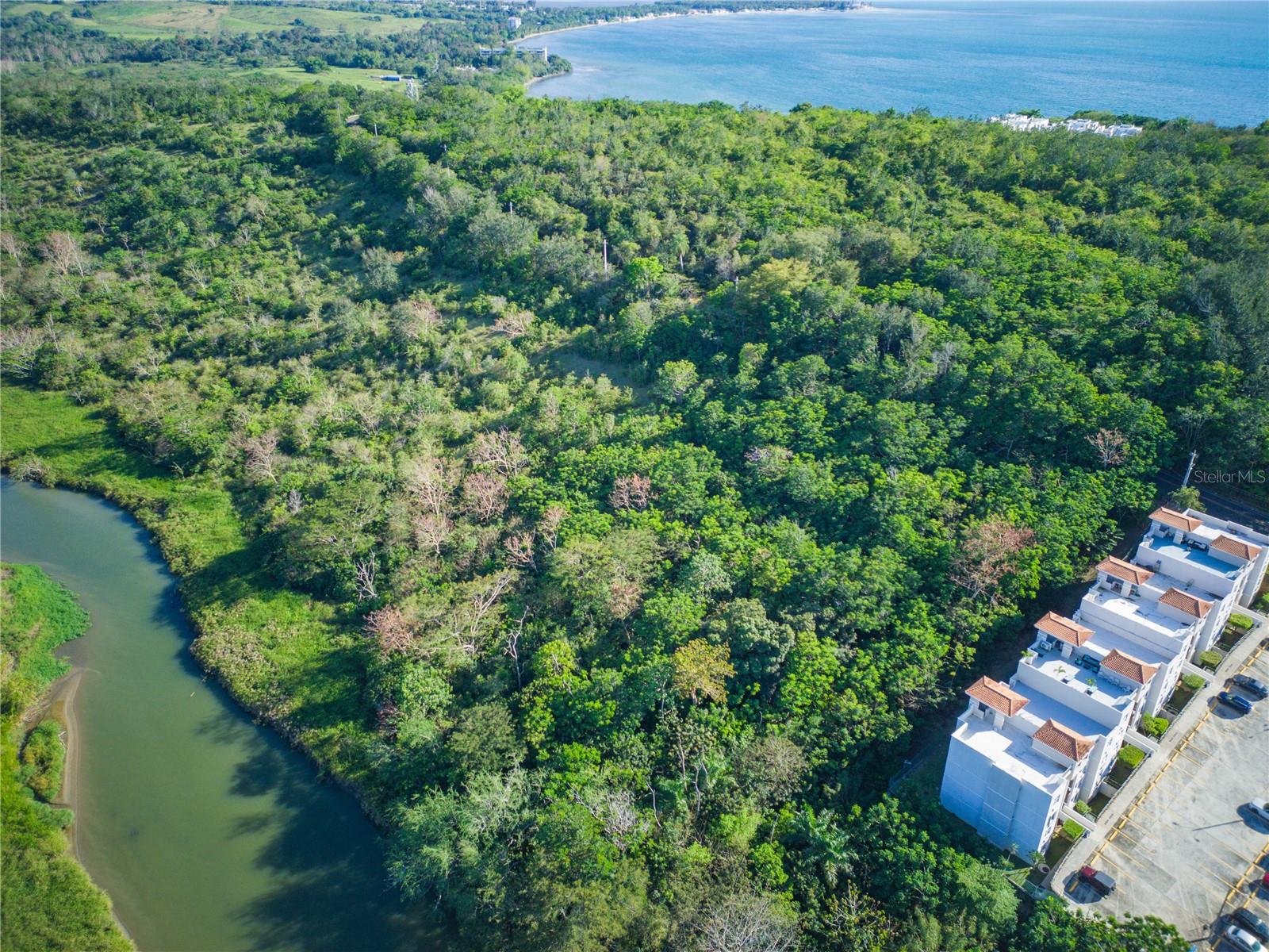 CABO ROJO — foto 5