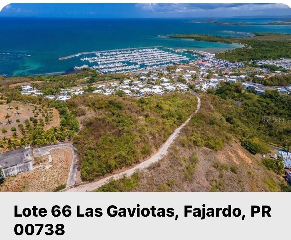 FAJARDO