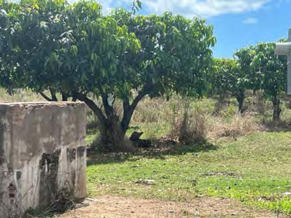 JUANA DIAZ — foto 5
