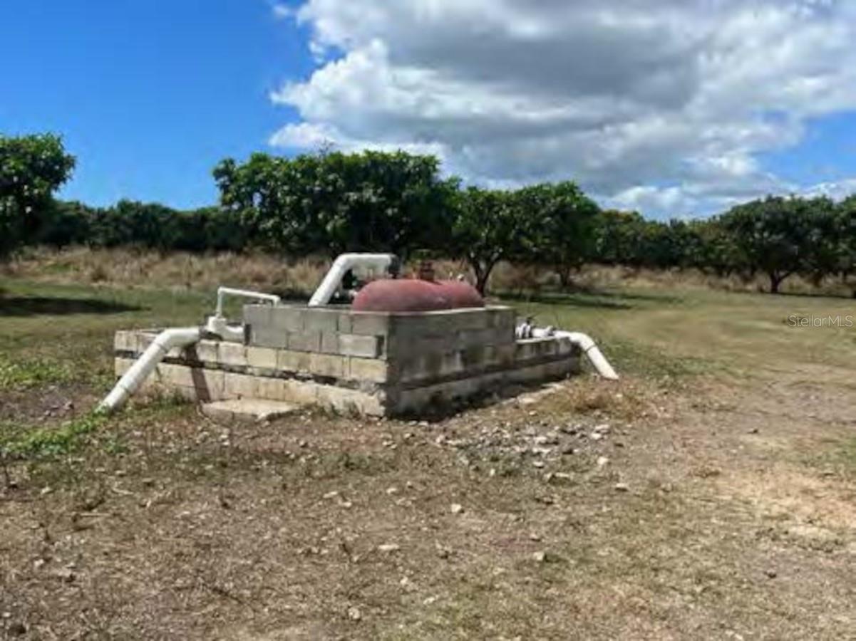 JUANA DIAZ — foto 8