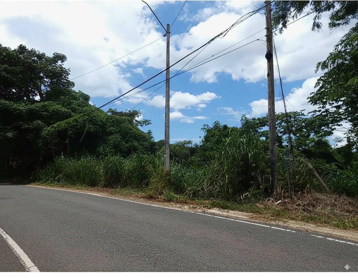 ANASCO — foto 2