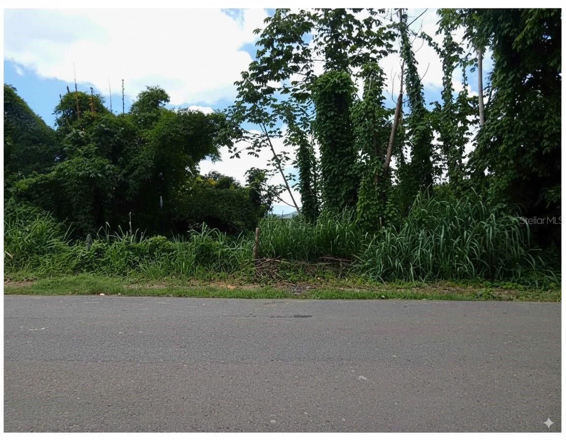 ANASCO — foto 4