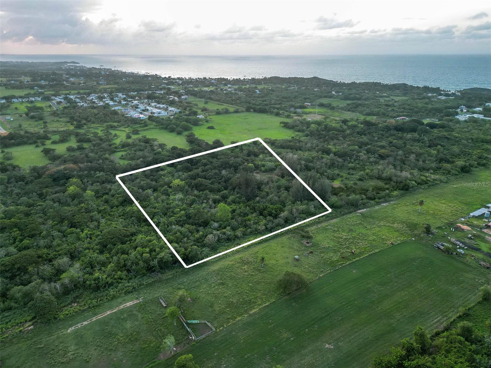ARECIBO — foto 2