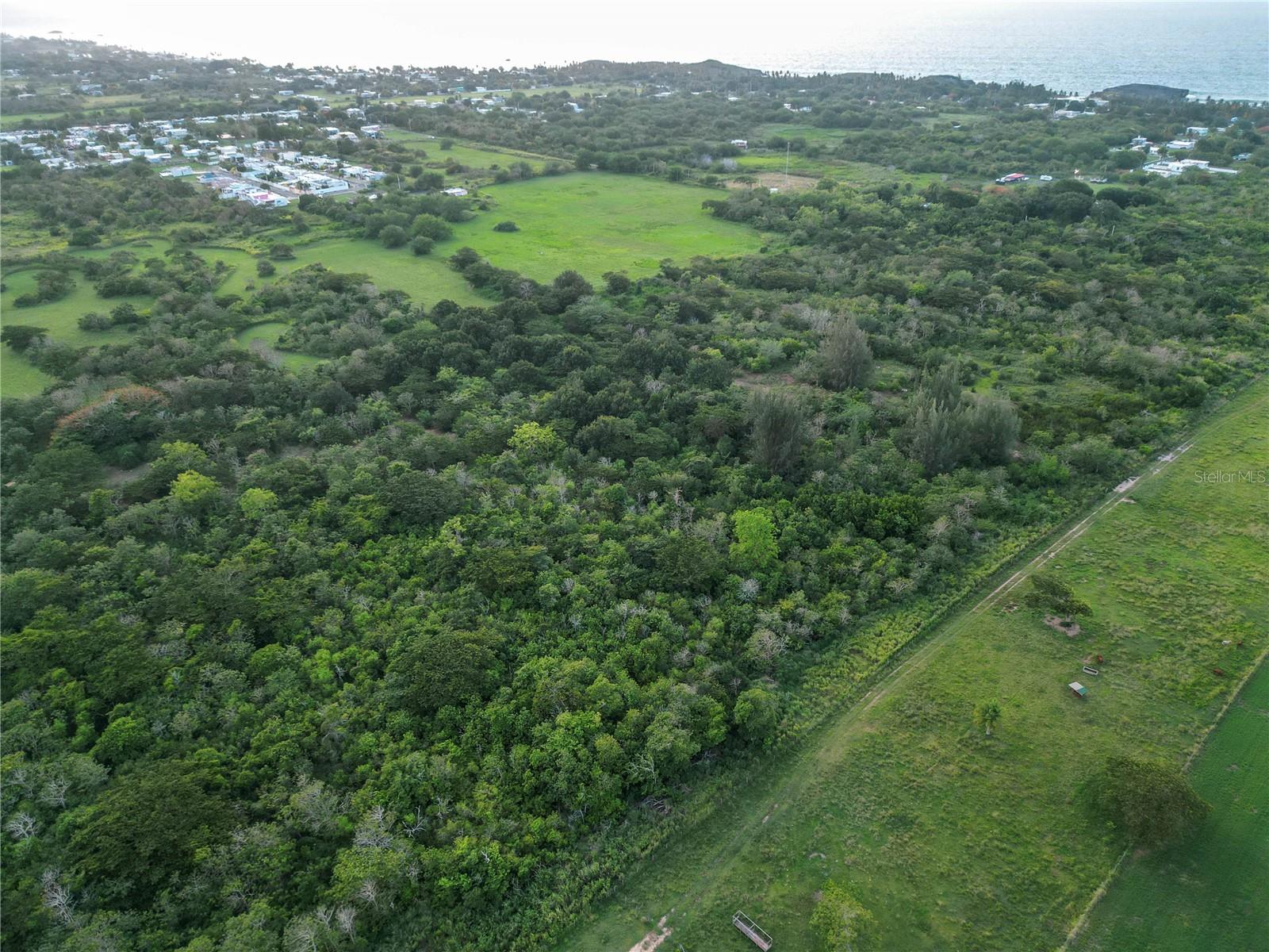 ARECIBO — foto 5