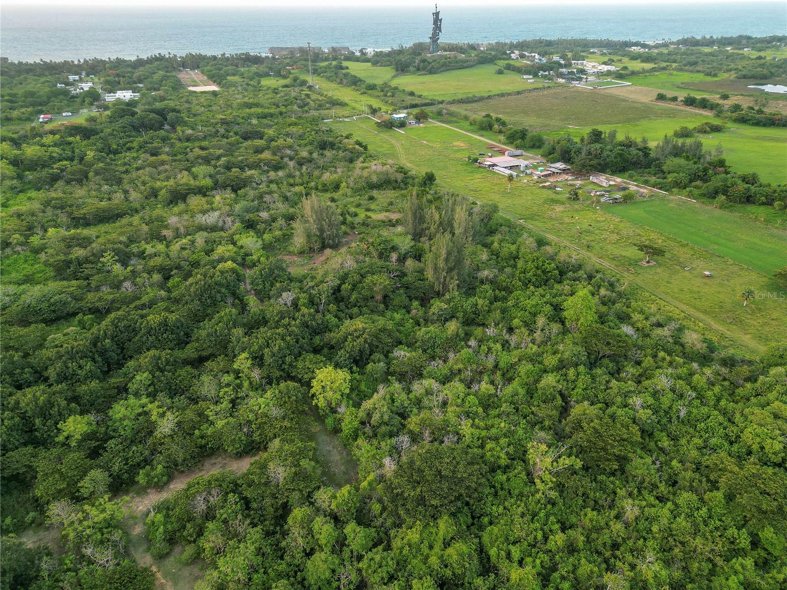 ARECIBO — foto 6