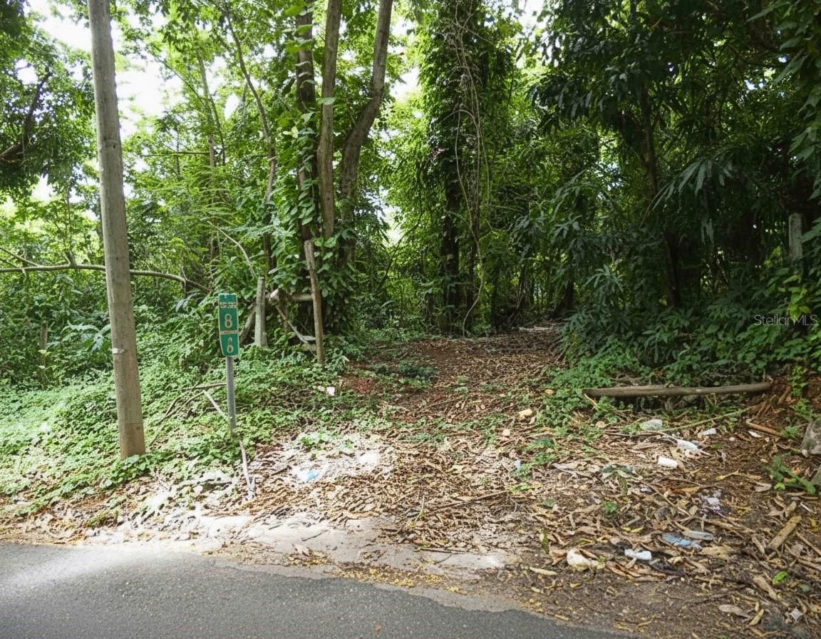 ANASCO — foto 3