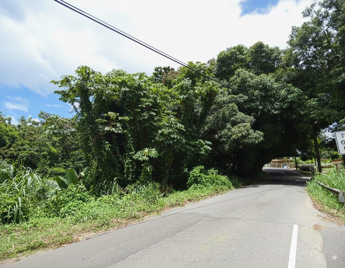 ANASCO — foto 4
