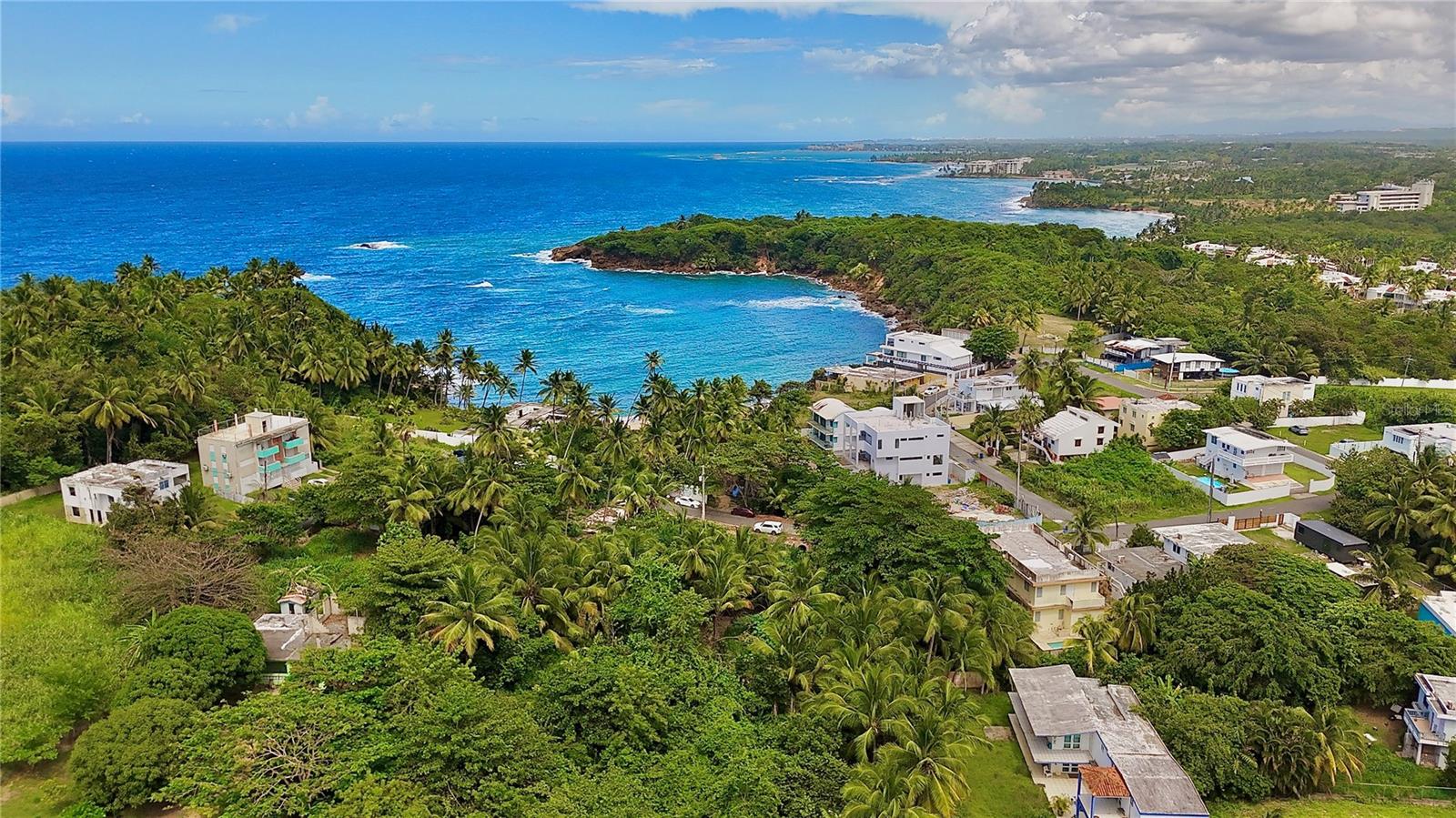VEGA ALTA — foto 3