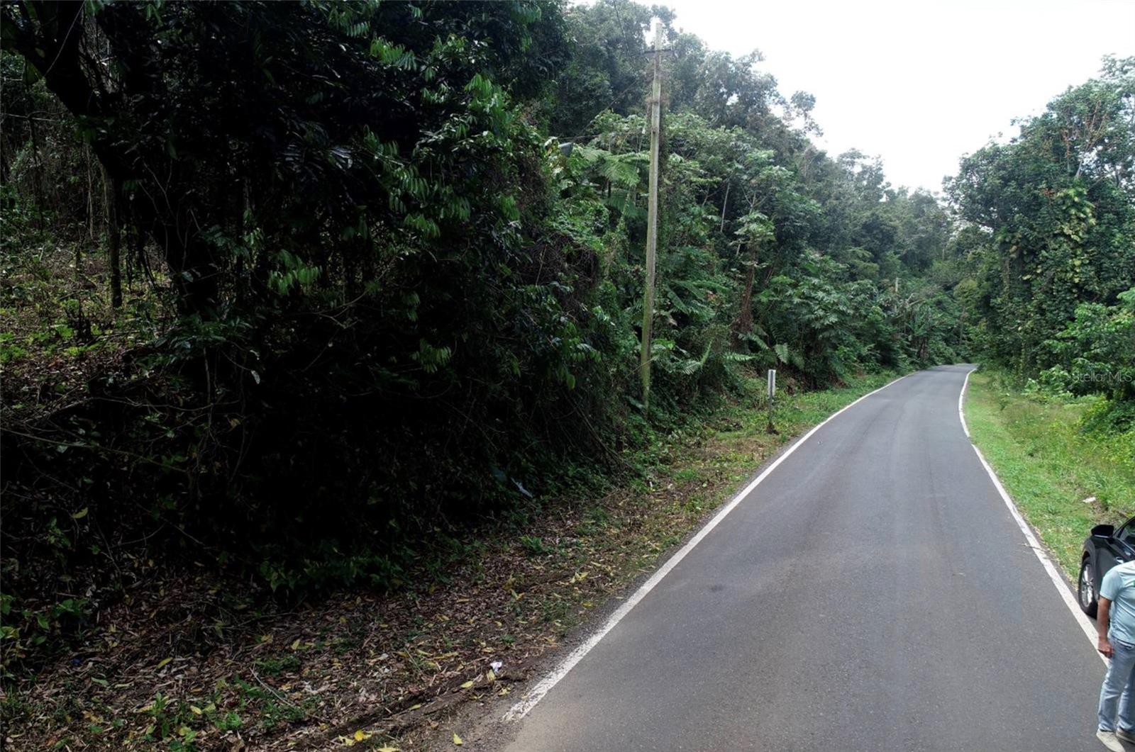 UTUADO — foto 7