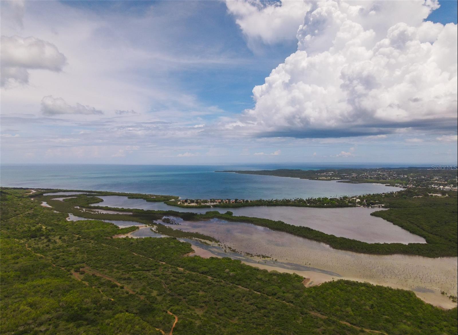 CABO ROJO