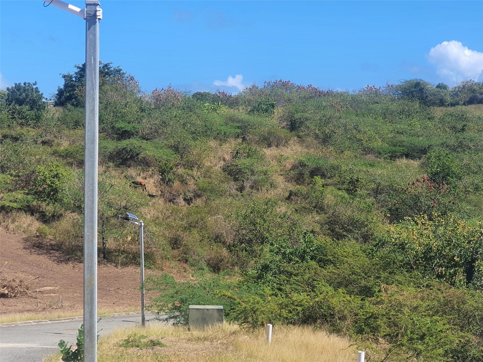 CULEBRA — foto 10