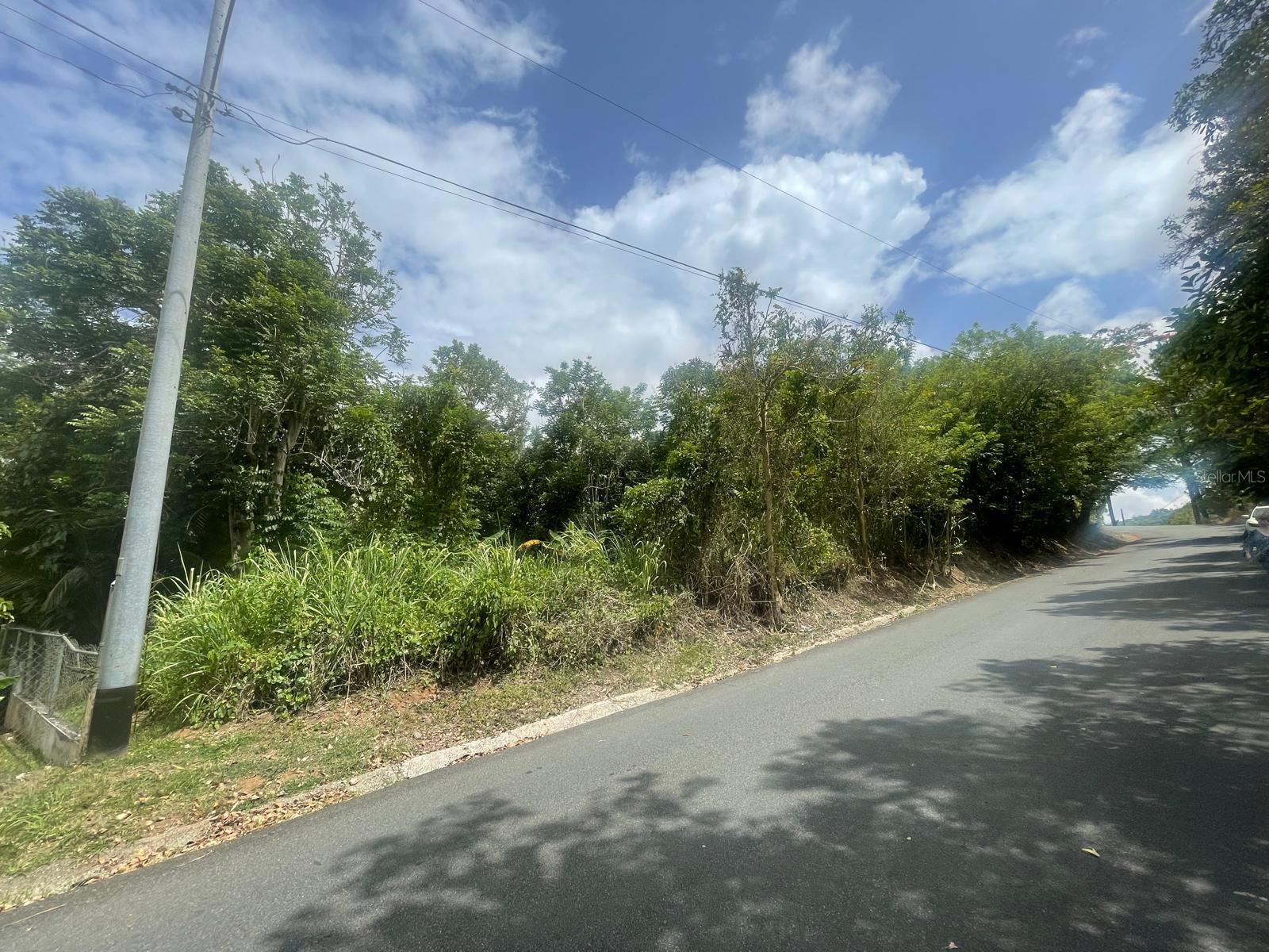 CIDRA — foto 2