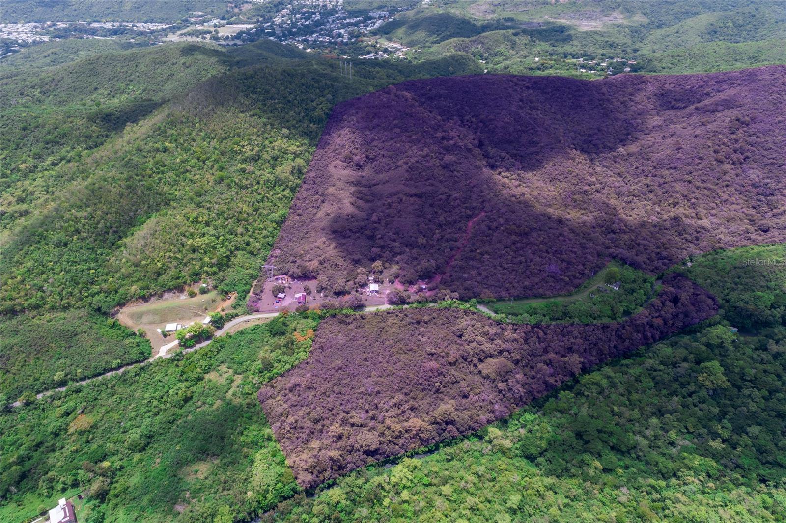 PONCE — foto 2