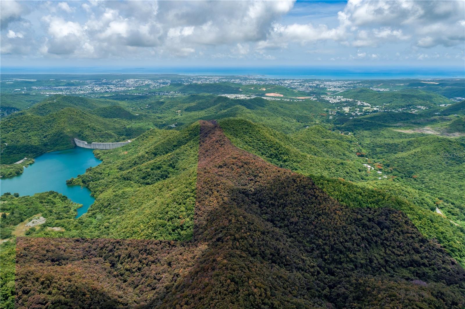 PONCE — foto 6