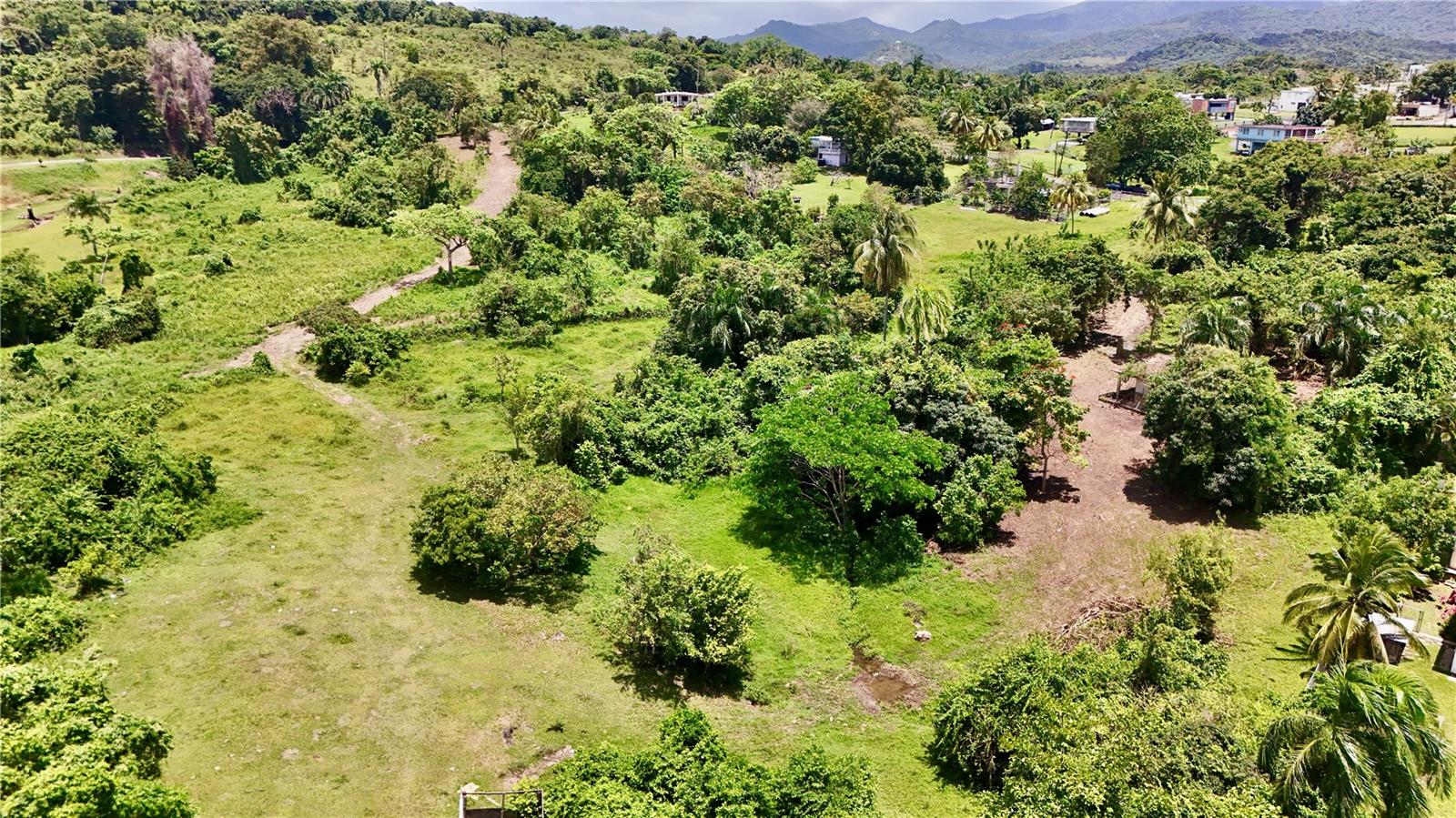 RIO GRANDE — foto 10