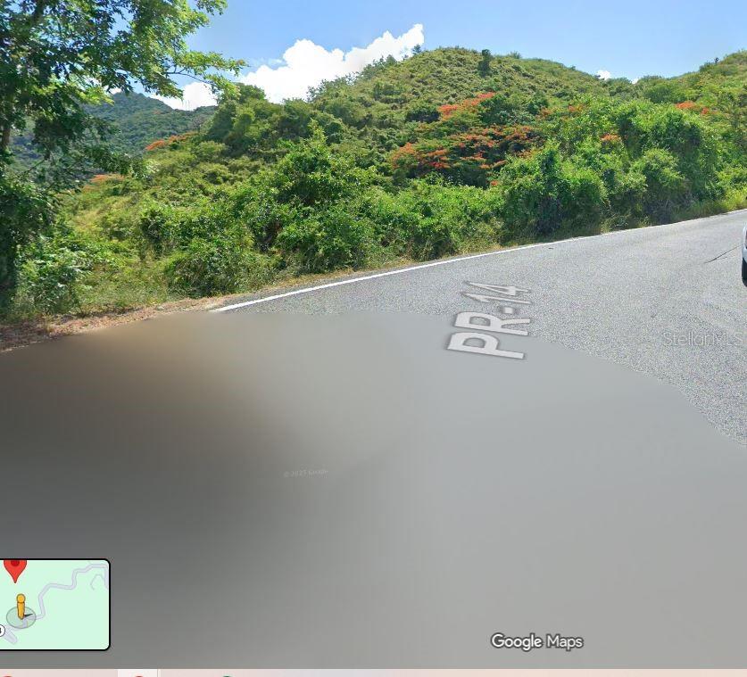 COAMO — foto 5