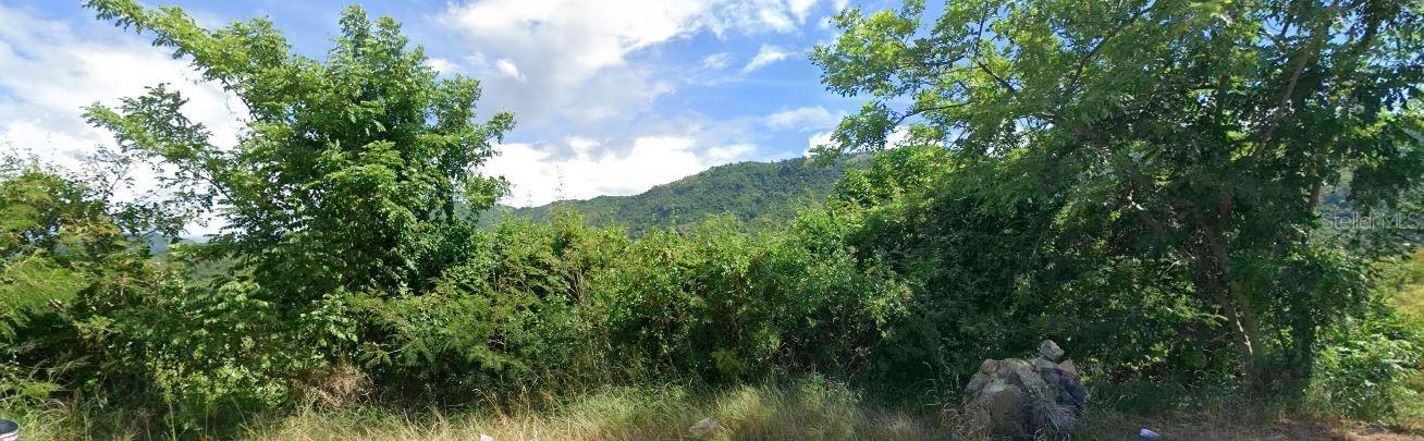 COAMO — foto 9