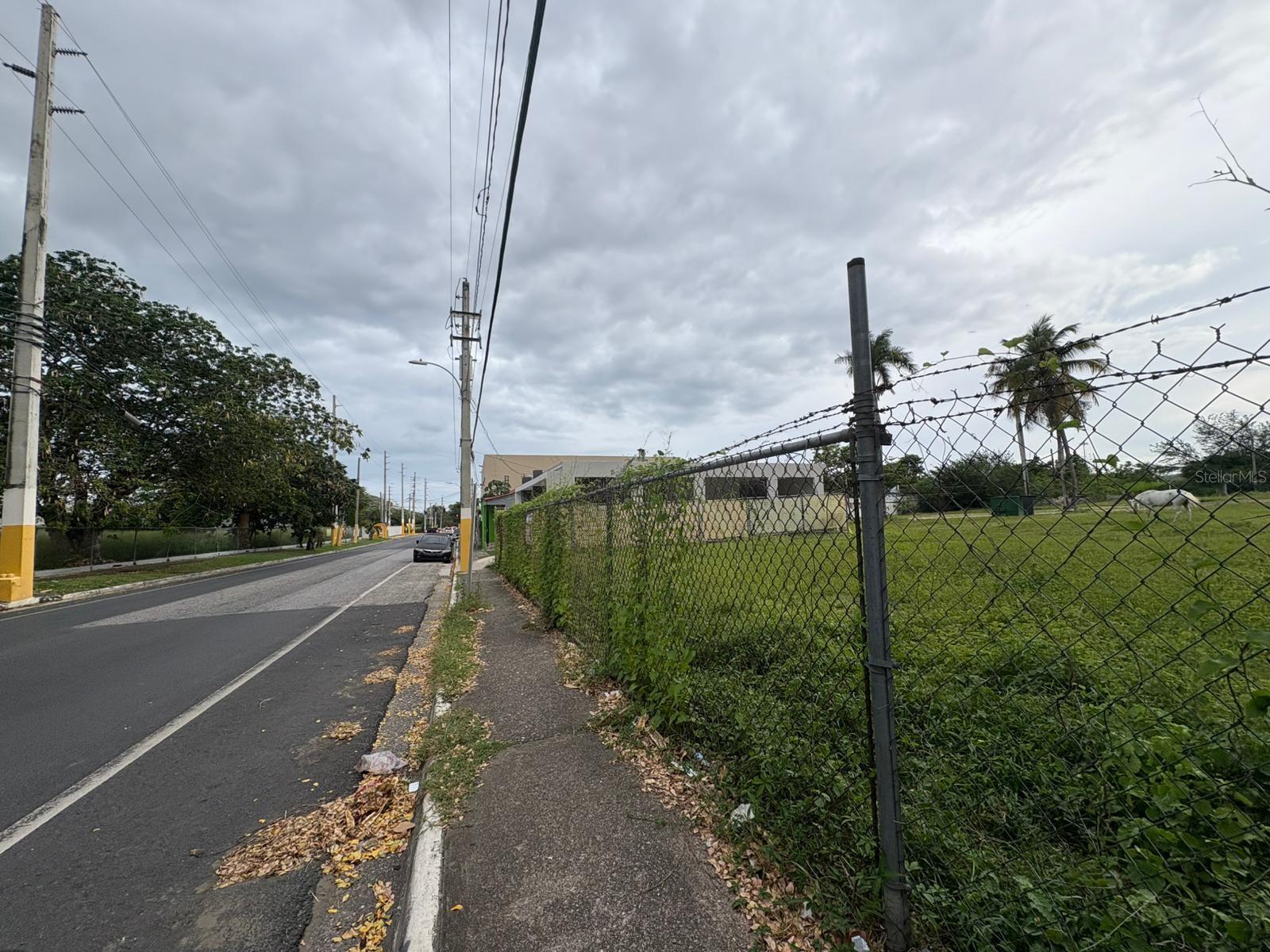 JUANA DIAZ — foto 2