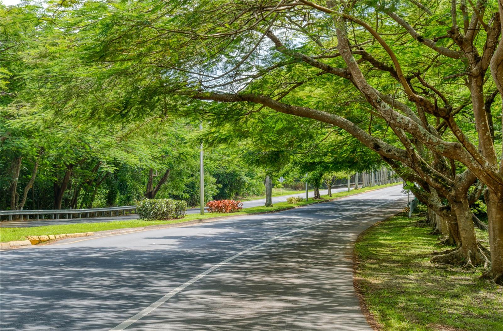 GUAYNABO — foto 10