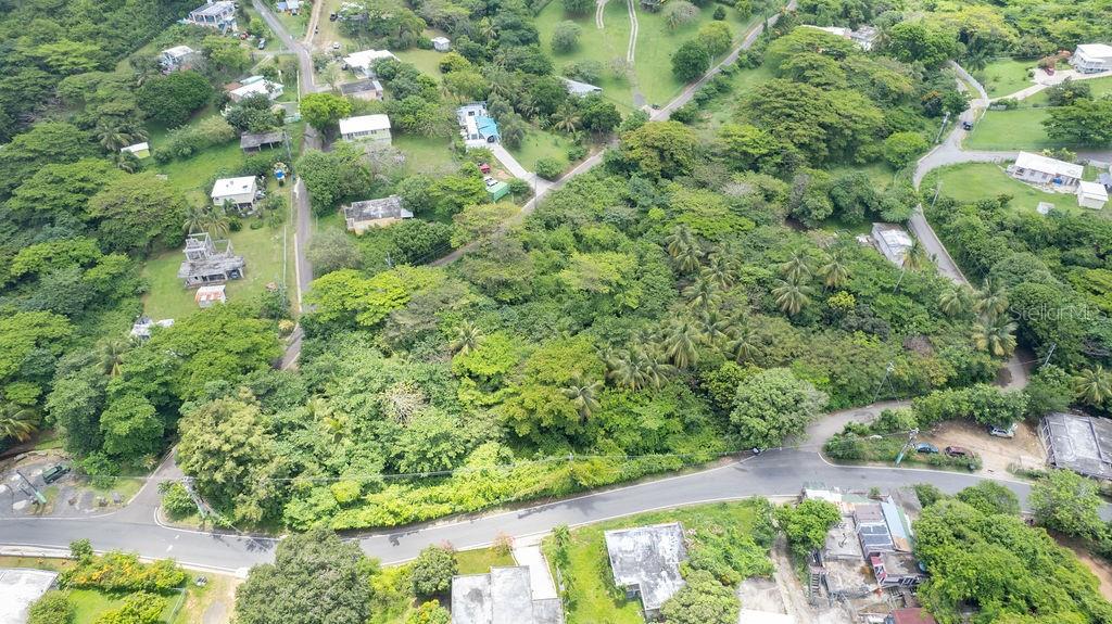 VIEQUES — foto 3