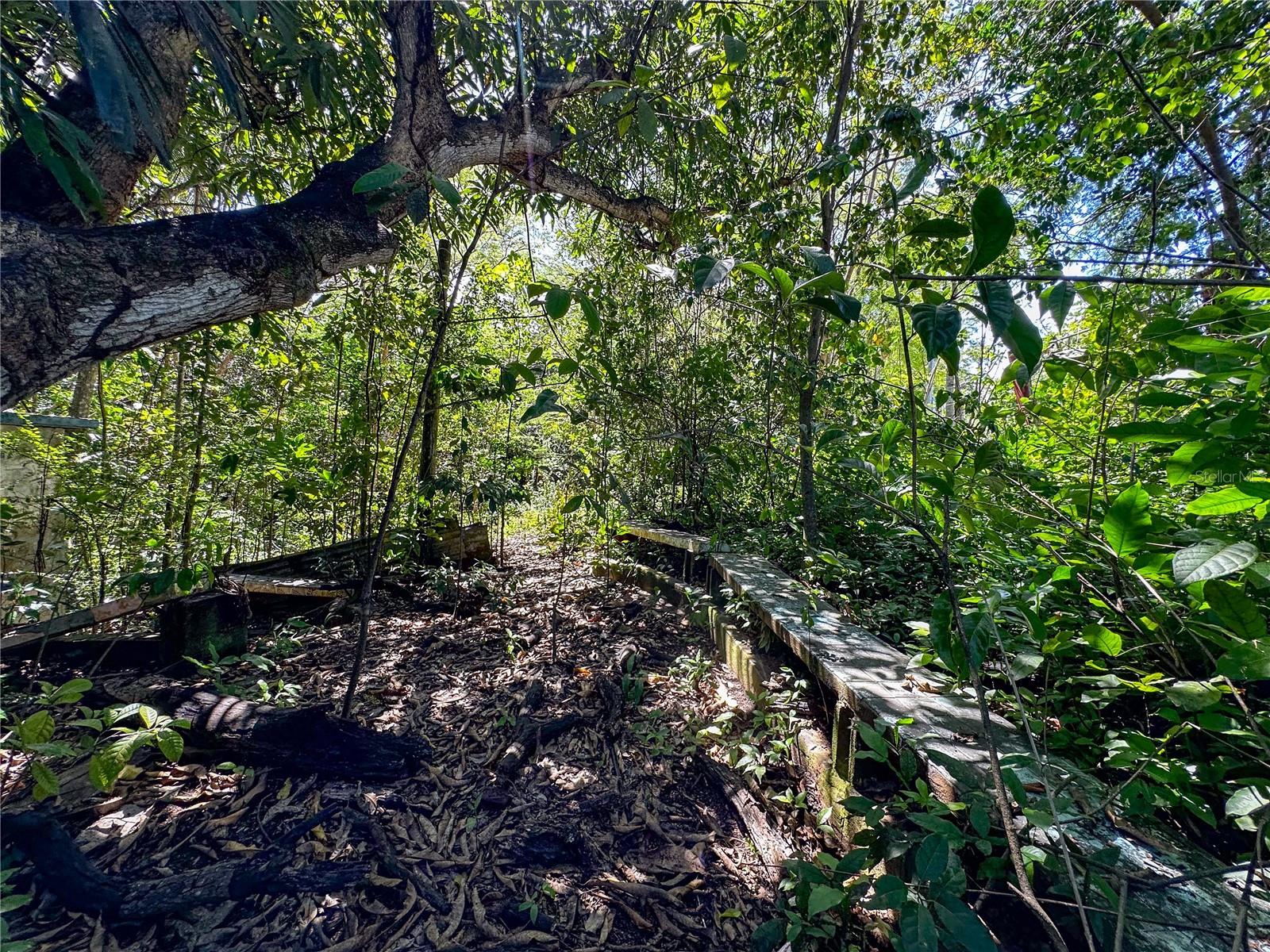 VIEQUES — foto 8