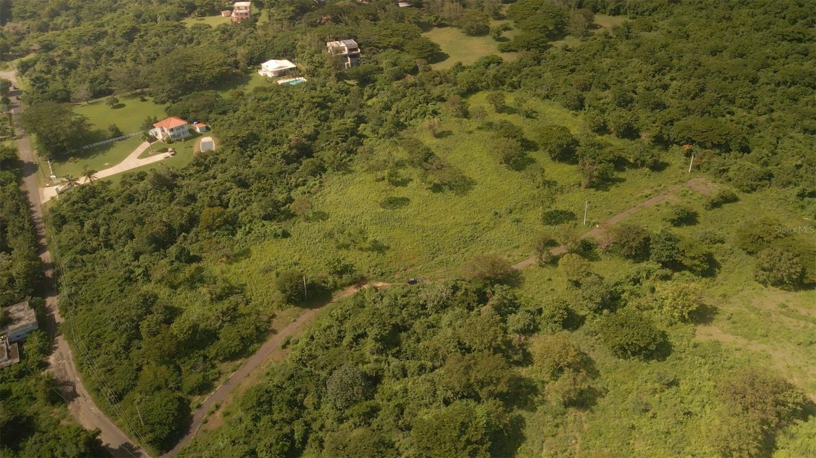 VIEQUES