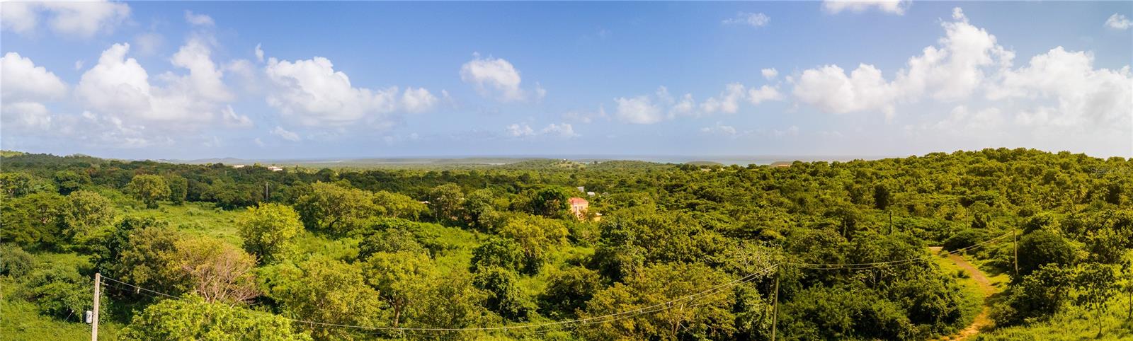 VIEQUES — foto 5