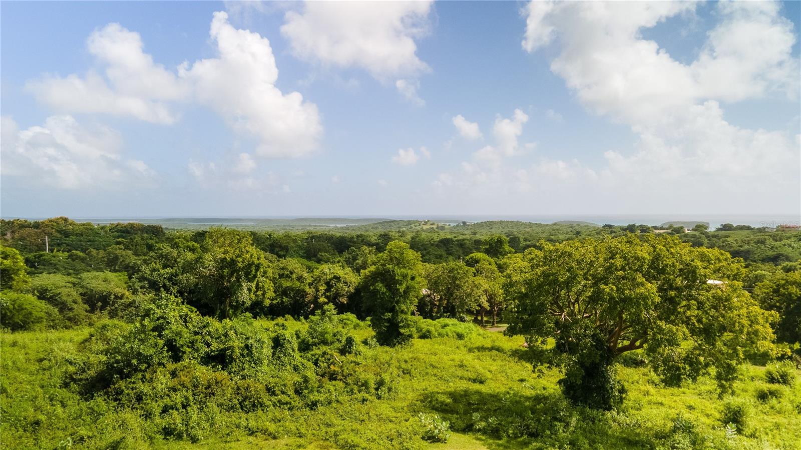 VIEQUES