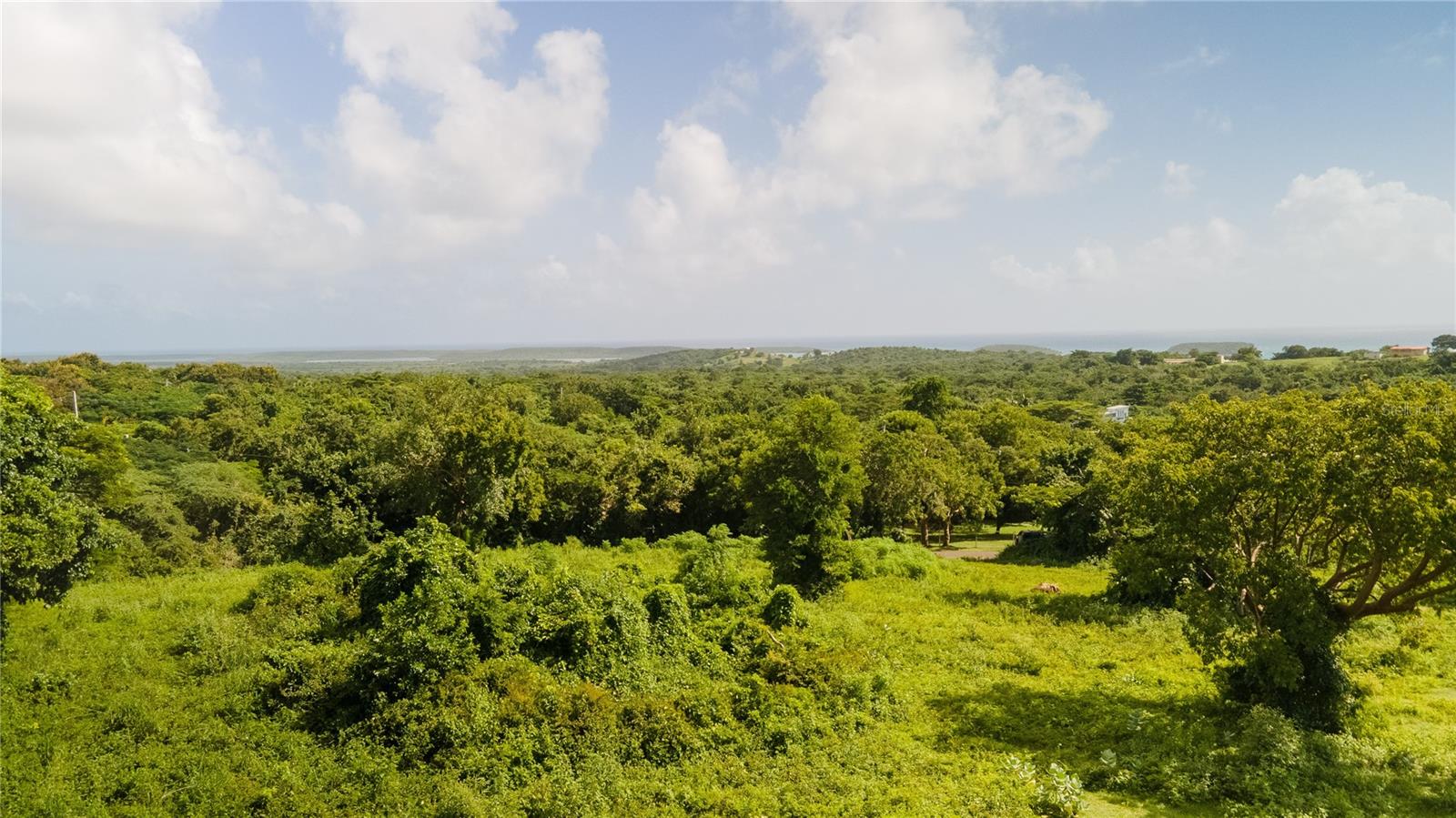 VIEQUES — foto 2