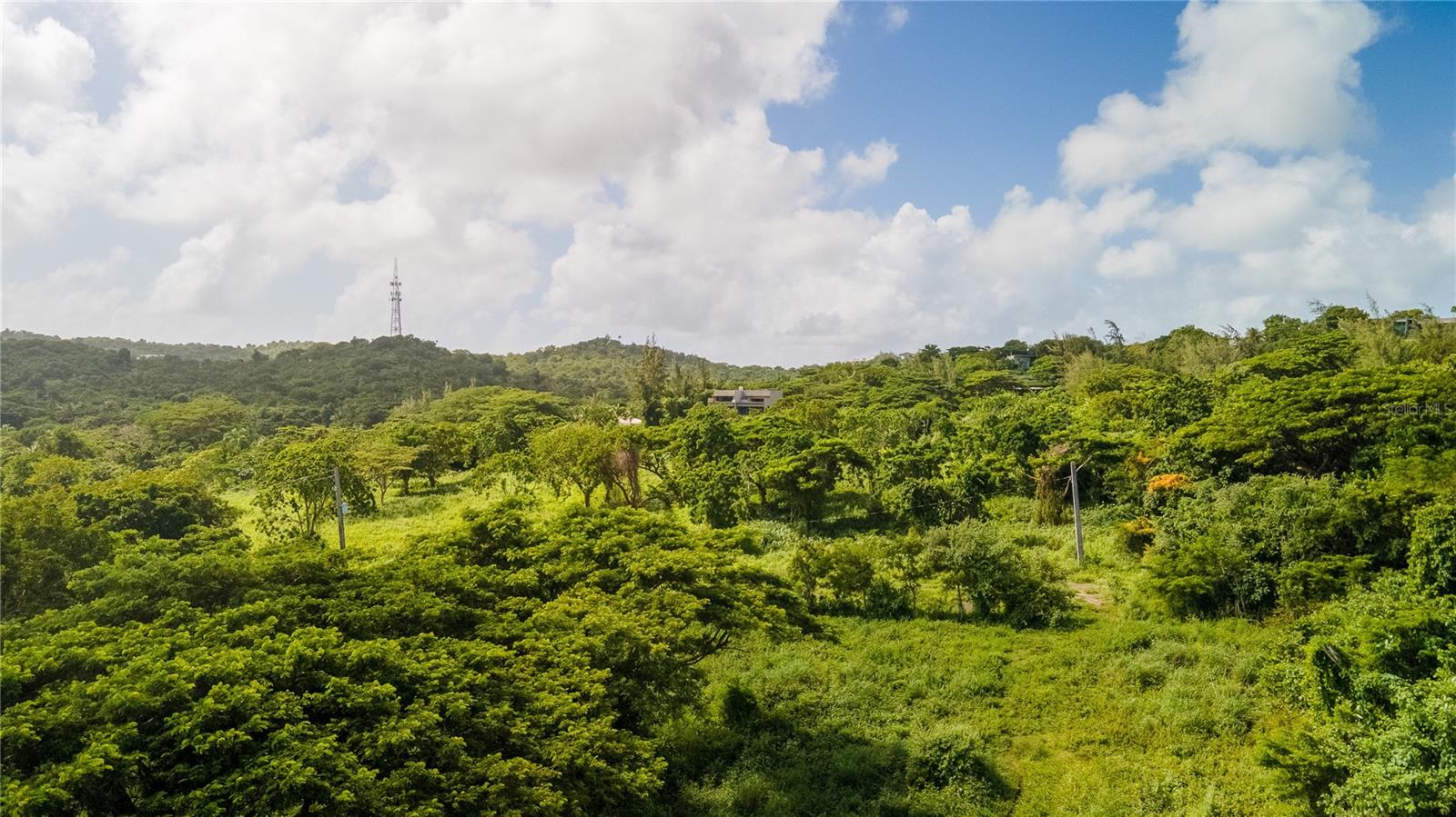 VIEQUES — foto 4