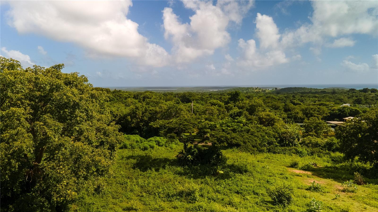 VIEQUES — foto 5