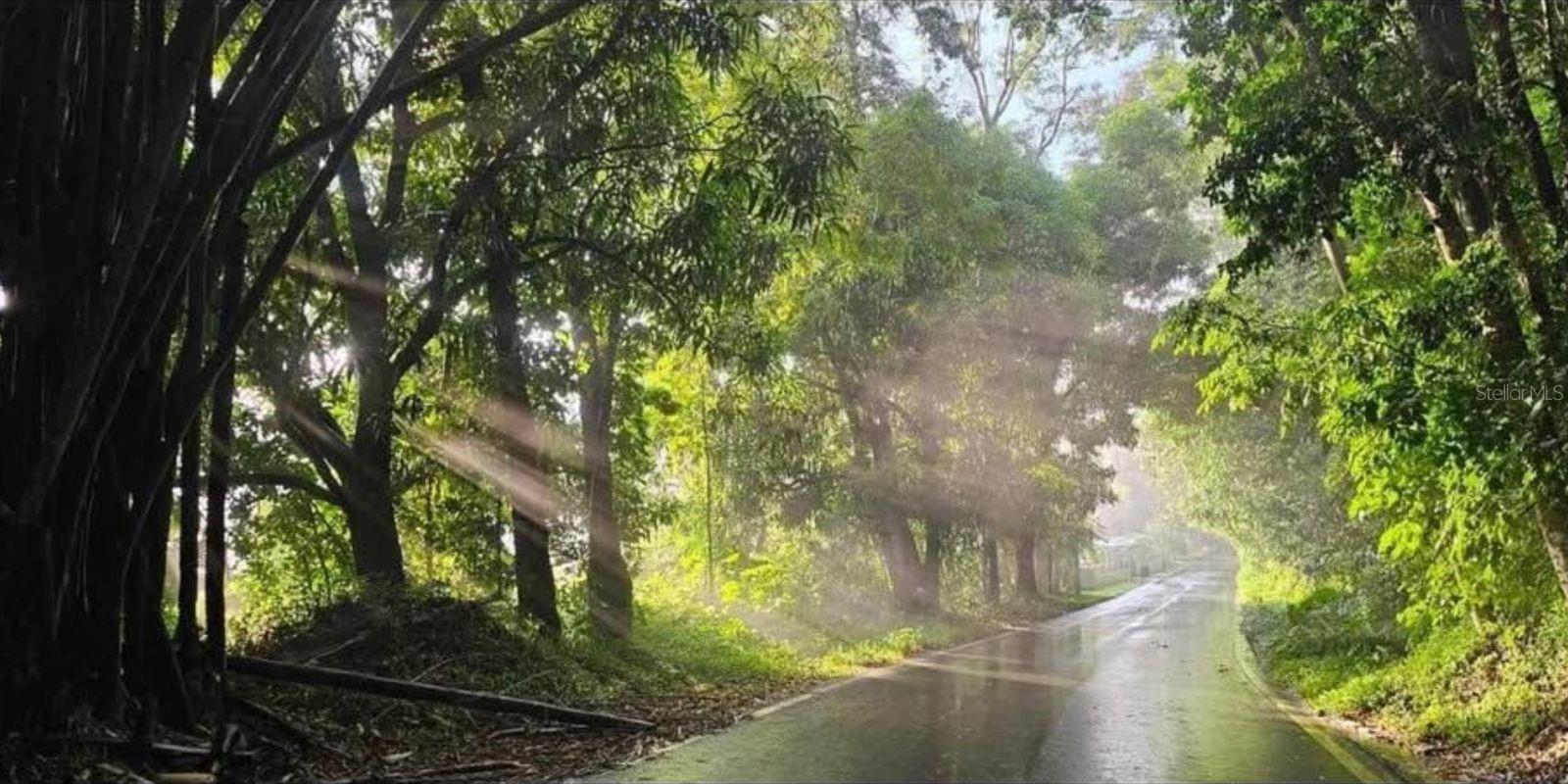 CIALES — foto 2