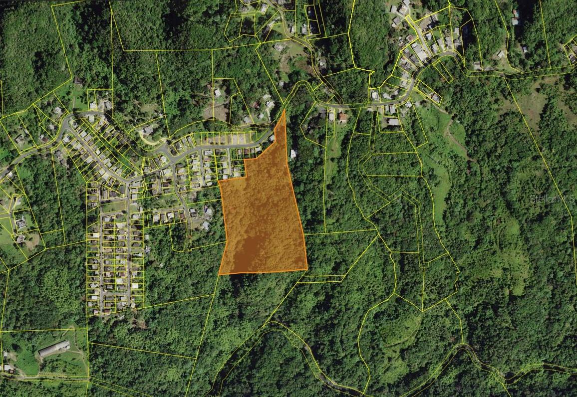 CIALES — foto 5