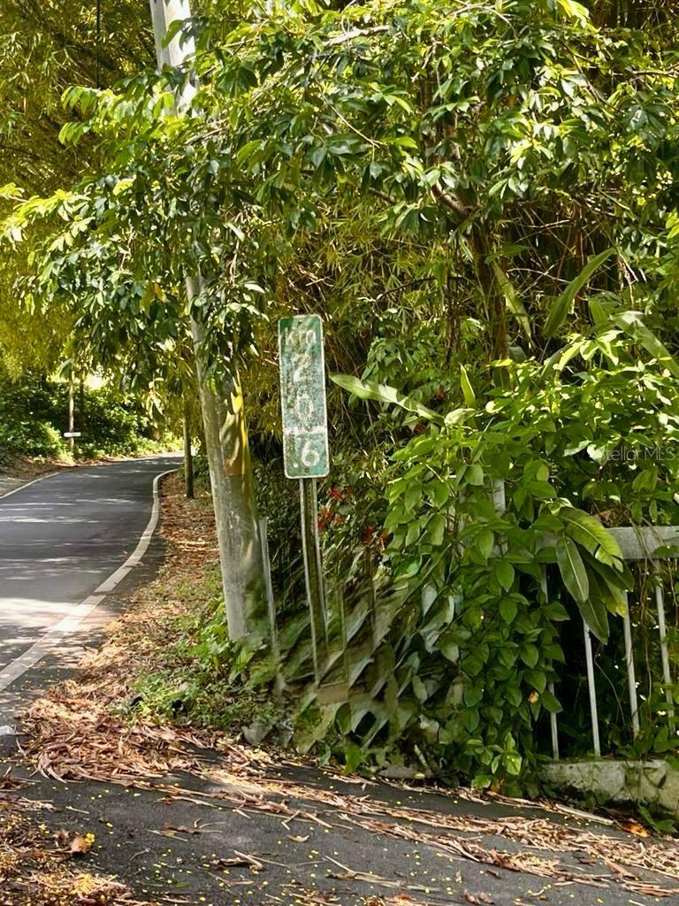 CIALES — foto 6