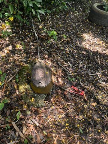 CIALES — foto 7