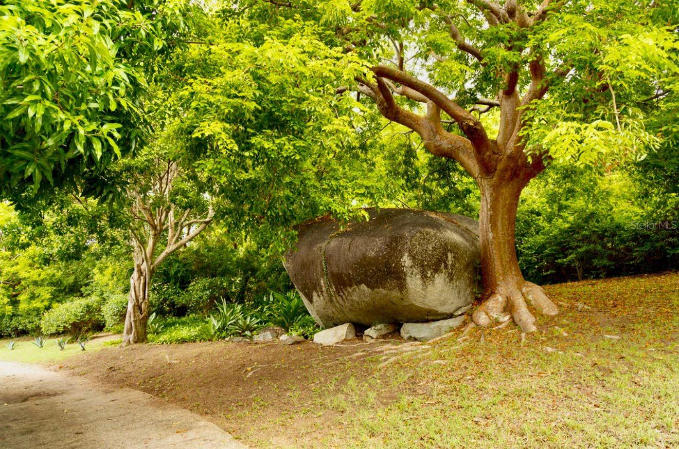 2 hab · 2 baños · VIEQUES — foto 7