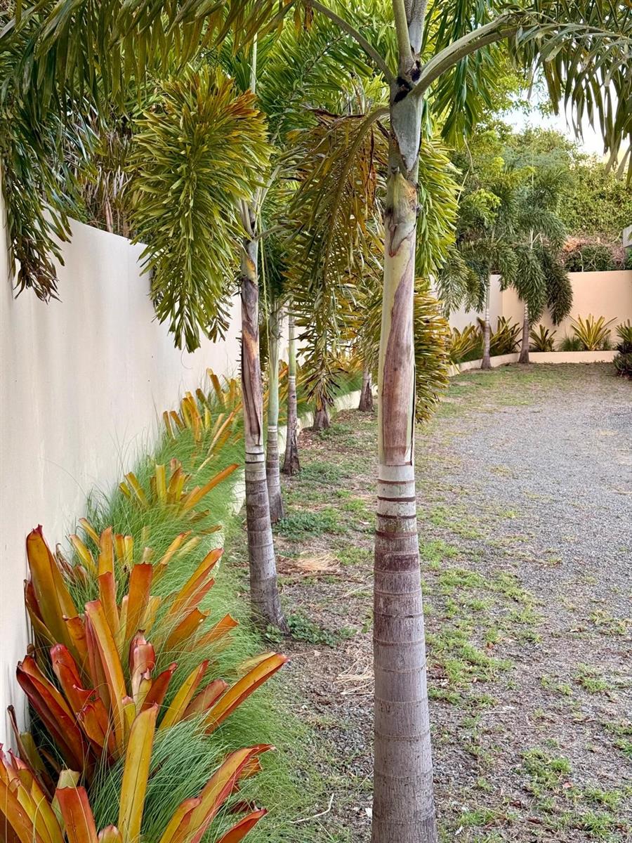 2 hab · 2 baños · VIEQUES — foto 10