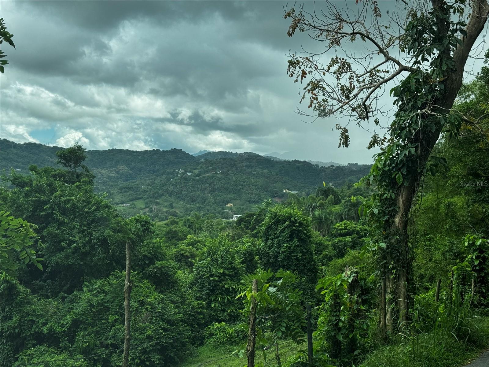 GURABO — foto 5