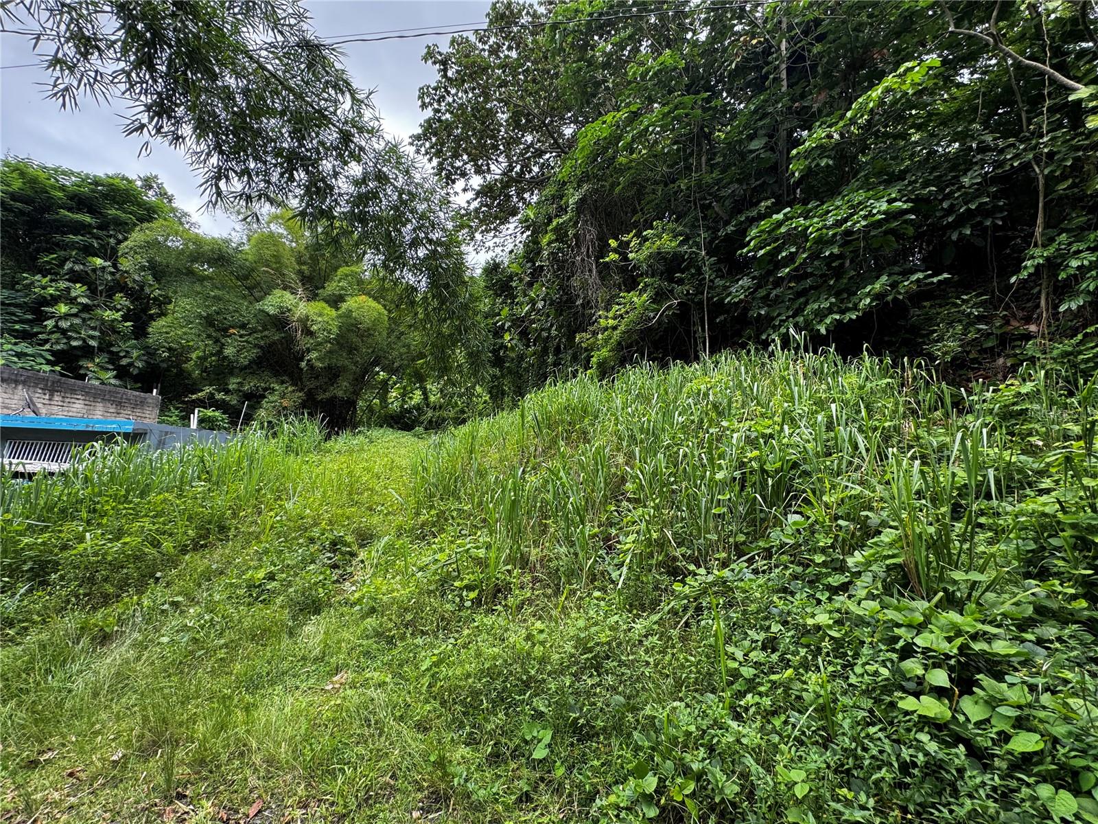 GURABO — foto 11
